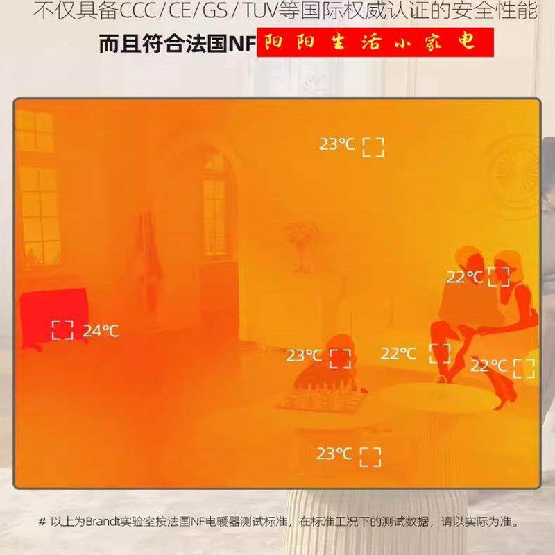 法国白朗N22D新款取暖器w家用循环升温供暖电暖气欧式快热炉取暖