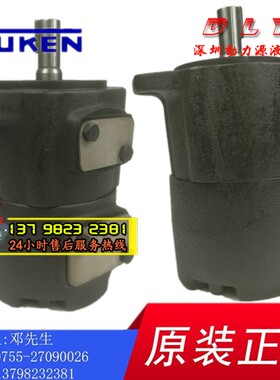 S-PV2R3-76/85/94/108/116/125-F/L-LLA/LLB-45/31/V35/41/3T71