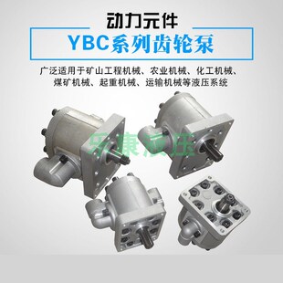 125液压矿机高压齿轮油泵.花键锥轴平 YBC