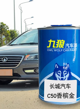 九狼汽车漆长成品城漆原厂漆4S店C5F0香槟金爵士红简约白M1橄榄绿