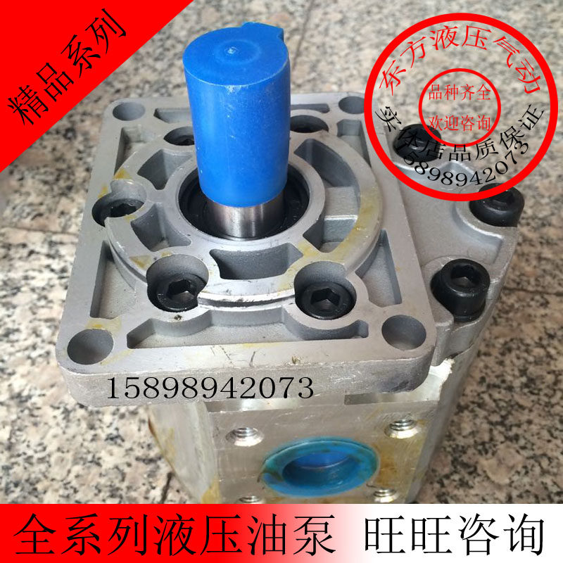 精品液压油泵/齿轮泵 CzBT-F550 左旋 花键,标准件/零部件/工业耗材,其他气动元件,淘宝优惠券,粉丝福利购,淘宝优惠卷