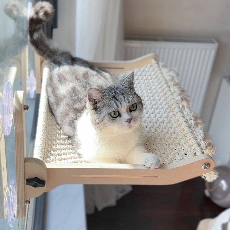 猫咕哩猫咪吊床玻璃窗户r吸盘猫窝阳台窗台窗边猫挂窝观景台晒太