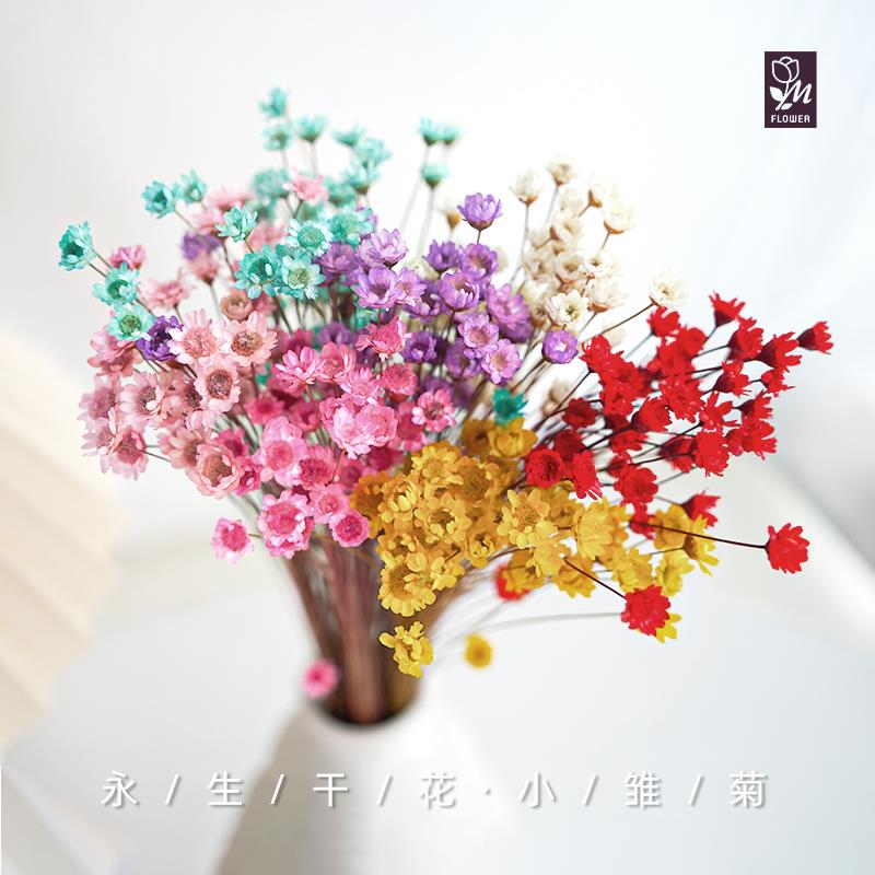 蔓玥 国产迷你小雏菊干花包小星花diy香薰石膏玻璃罩材料包永生花