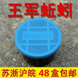 蚯蚓盒装活体红蚯蚓活饵鱼饵大平二号垂钓饵料钓鱼王军 包邮