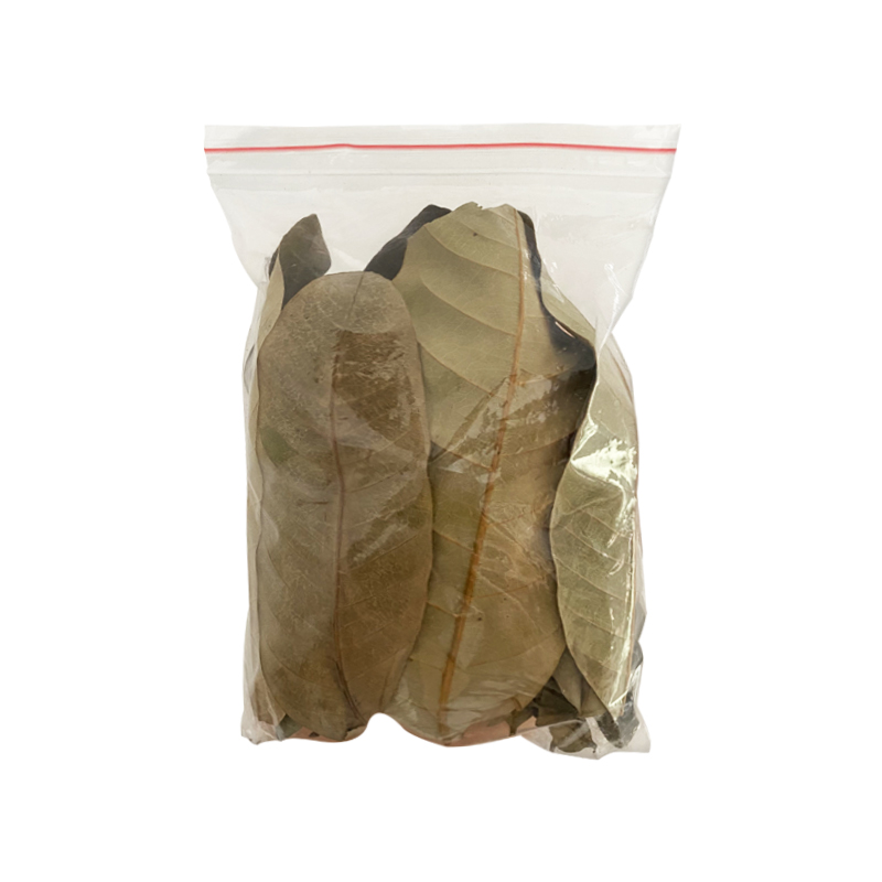 极速龙眼叶养龟巴西龟预防腐皮改善水质乌K龟缸造景龟用鳄龟草龟