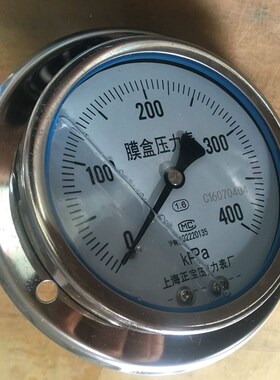 极速不锈钢轴向带面板膜盒压力表YE100BF-ZT 0-100/20V0/400kpa