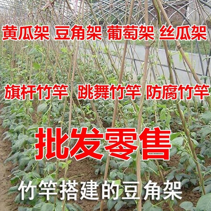 极速竹竿菜园搭架蔬菜豆角黄瓜番茄E爬藤架园庭院家用架子小竹子,鲜花速递/花卉仿真/绿植园艺,土壤覆盖物,淘宝优惠券,粉丝福利购,淘宝优惠卷