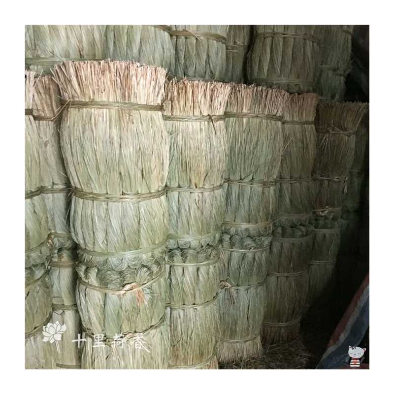 极速2020然粽绳包粽子专用的线B绳子马莲草绑大闸蟹捆螃蟹扎咸水