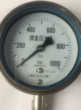 极速YE100BF不锈钢膜盒压力表0-10w00Kpa 600kpa 400kpa200kpa250