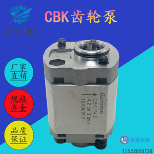 2.G5 F3.2 F4.8 极速微型齿轮泵CBK齿轮泵CBK F1.6 F6.8 F0.5