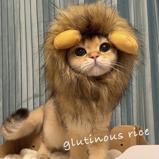 极速网红宠物猫咪狮子头套耳朵小型犬狗狗帽子宠物可Y爱配饰头饰