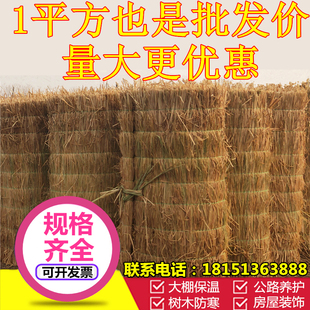 极速稻草帘子草i蓆子保温草帘草蓆道路防滑水泥路面养护草苫子大
