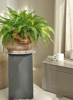 极速高仿真手e感狼尾蕨绿色波斯蕨叶肾蕨软胶植物餐厅墙面花槽插