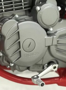 越野摩托车高赛250CC 新贵尊极盗者SHR-3越野赛摩CB250-F大头机