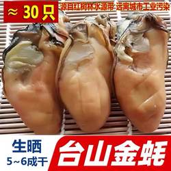 台山蚝生晒半干金蚝牡蛎干蚝豉干深井生蚝非湛江金蚝250g 约30头