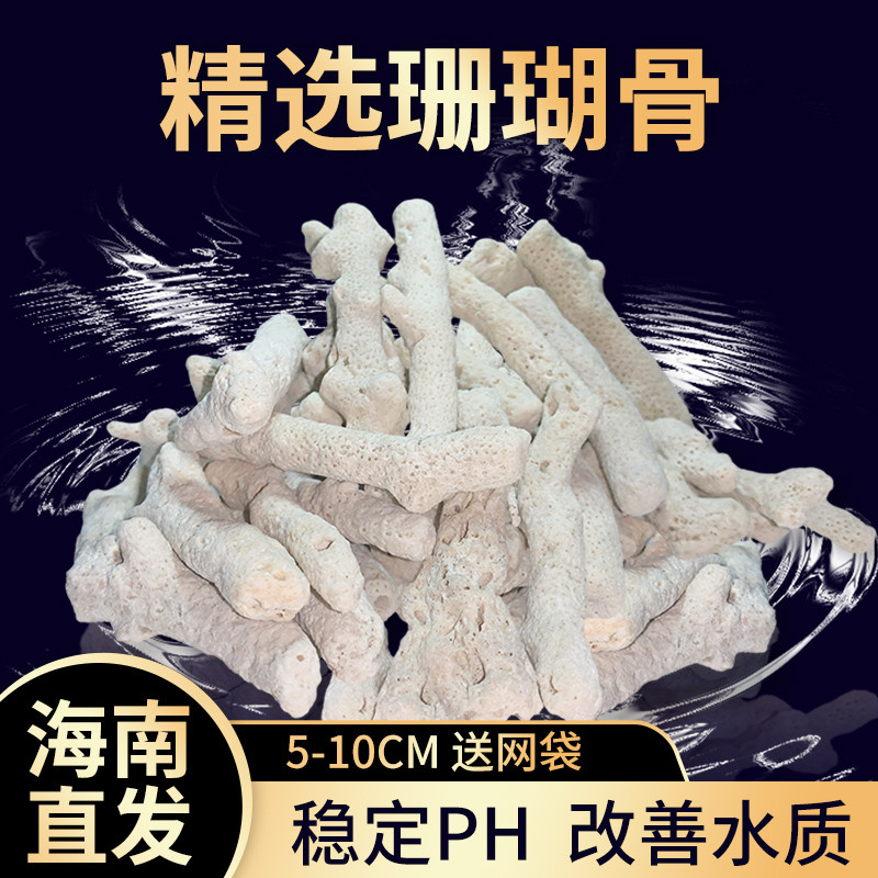 天然滤材珊瑚石鱼缸过滤材料净化水质造景培菌稳定Ph值特价