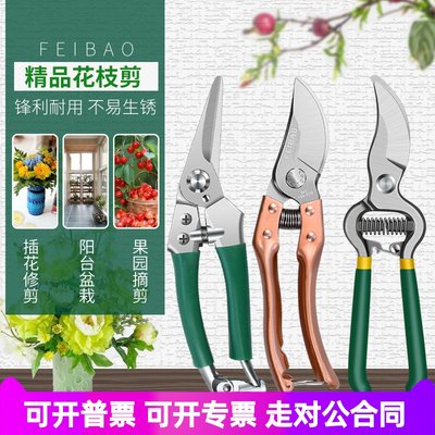 飞豹修剪树枝剪刀园林园艺工具多功能家用粗枝果树植物修花枝剪