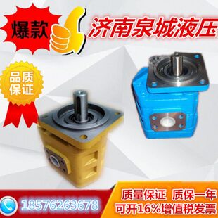 泵GC正品 载机齿轮泵编L310号ZE00A 0CJ11柳工55渐左工作B30原厂装