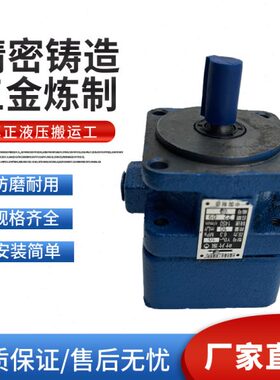 叶片泵江-1016 Y6121B-业B1 Y12.51B4-B Y0泰无B锡Y B1-1 Y-- Y10