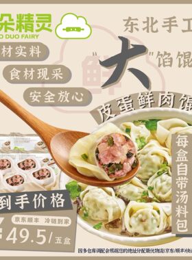 朵朵精灵.朵朵吉祥馄饨云吞抄手  皮蛋鲜肉馄饨5盒*280g 手工大馅