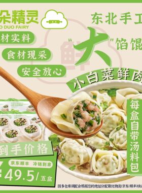 朵朵精灵.朵朵吉祥馄饨云吞抄手 小白菜鲜肉馄饨5盒*280g手工大馅