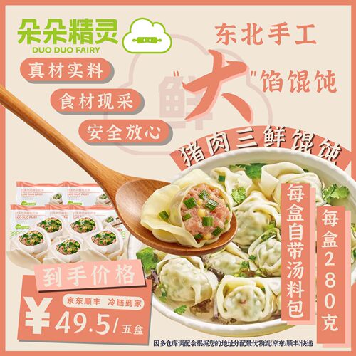朵朵精灵.朵朵吉祥馄饨云吞抄手  肉三鲜馄饨5盒*280g 手工大馅