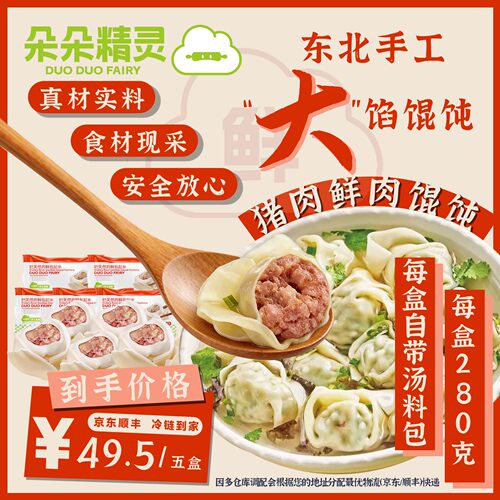 朵朵精灵.朵朵吉祥馄饨云吞抄手  猪肉鲜肉馄饨5盒*280g 手工大馅
