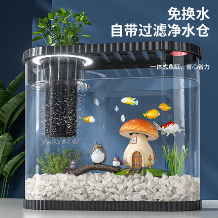 桌面鱼缸小型客厅2025新款过滤制氧一体机生态造景家用金鱼缸