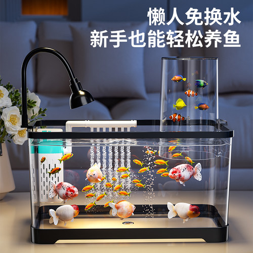 鱼缸2026新款过滤制氧一体机小型客厅负压金鱼缸生态造景水族箱