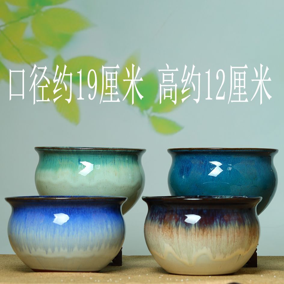 新疆包邮家用大号多肉花