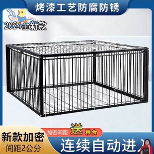捕捉器防逃自动n天落笼户外家用屋顶只进不出鸽子笼