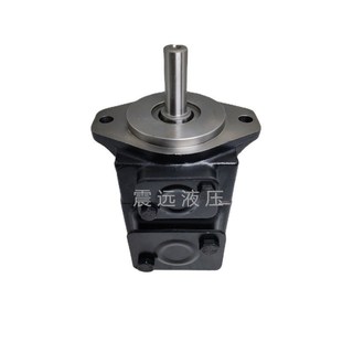 B14 1R01 3R02 B12 C1船舶机械液压泵LT6CM 压铸机高压油泵T6CM