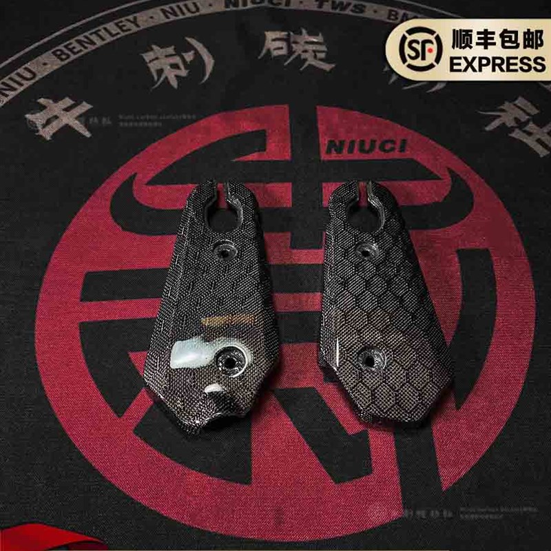 9号电动车改h装M系列碳纤维后平叉蜂窝纹外壳定制防水