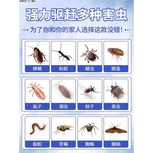 驱蟑螂魔盒家用一窝全窝端非杀灭蟑螂药除蟑螂屋特效胶饵神器