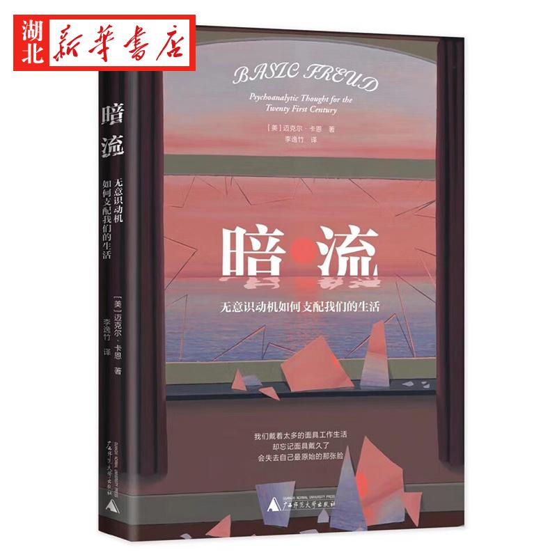 暗流(无意识动机如何支配我们的生活)