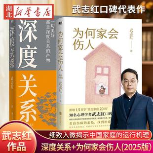 武志红 心理学者沉淀20年新书 深度关系 2025版 社会心理学励志成长畅销书为何家会伤人和另一个自己谈谈心 为何家会伤人