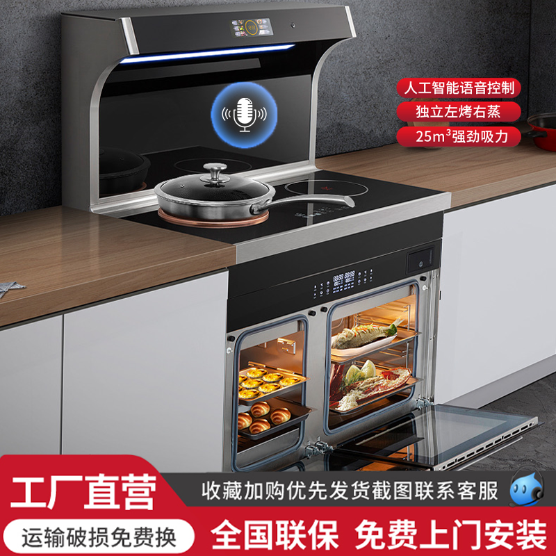 公寓纯电款集成灶一电一陶