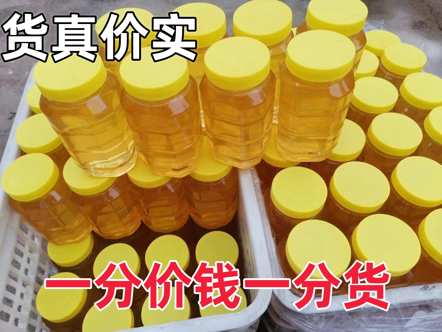 纯正天然土蜂蜜农家自产无添加百花荆条结晶采野生正宗洋槐花峰蜜
