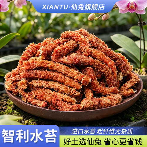 仙兔智利七星水苔粗纤维无杂质