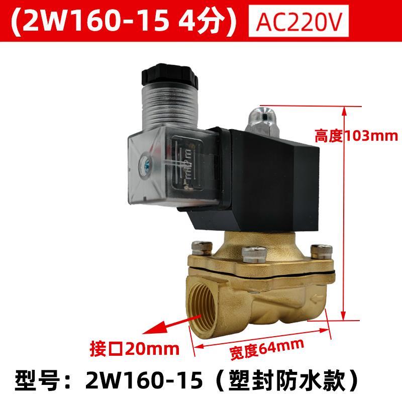 室外防水全铜电磁控制电阀开关水阀气阀220v24v12v4分6分1寸半2寸