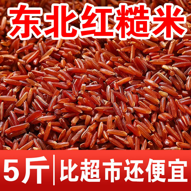 东北红米新米3/5斤 五谷杂粮吃的红米粳米红香米红血稻糙米红糙米