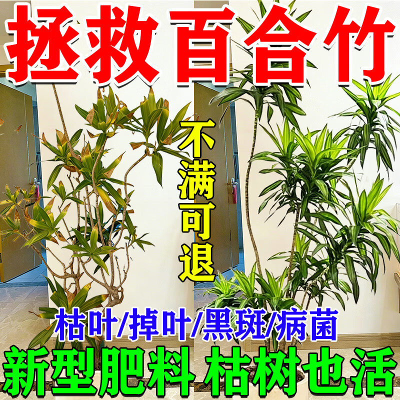 百合竹肥料专用营养液防止黄叶烂根焦尖掉叶子枯萎免稀释有机养料图片