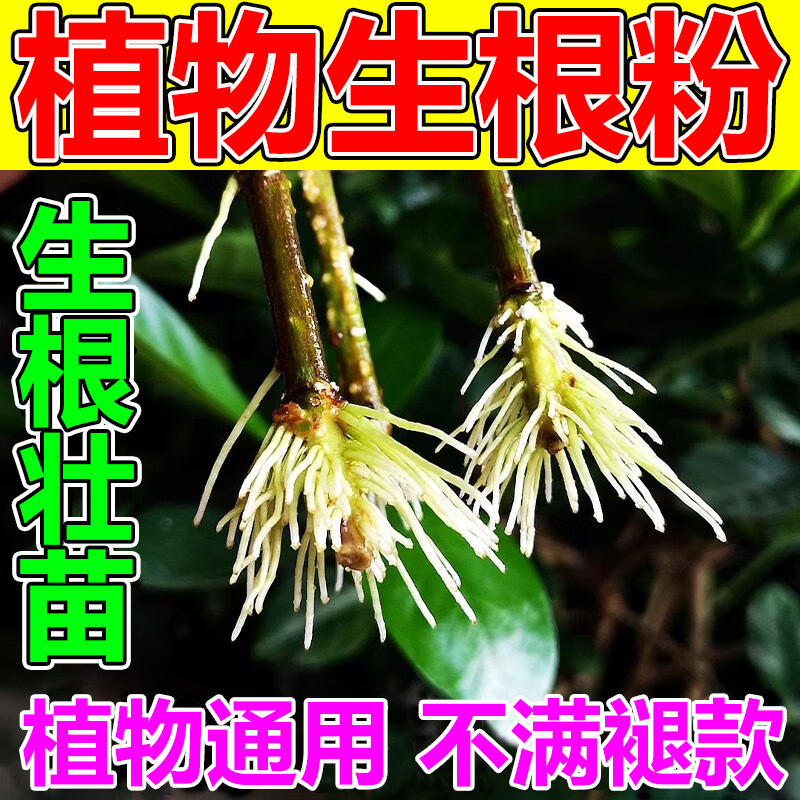 植物快速强力嫁接扦插生根粉