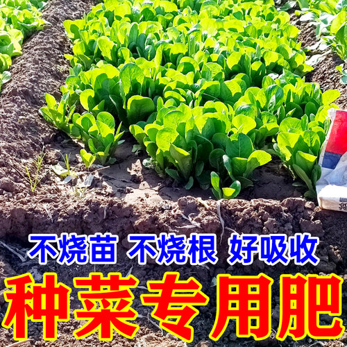 羊粪发酵有机肥料内蒙古种菜专用肥料农家