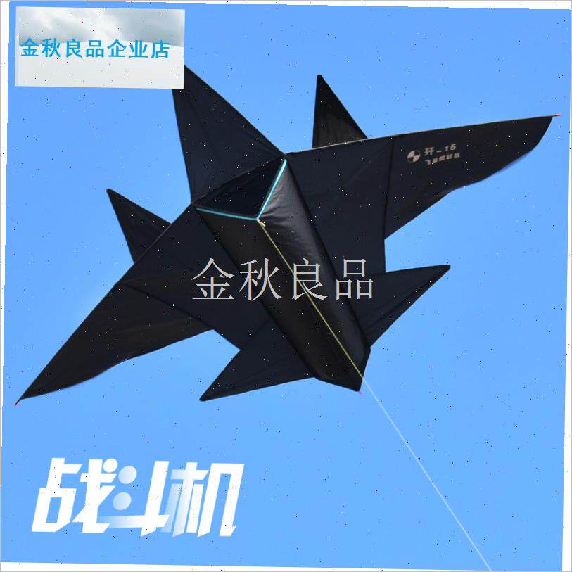 款风筝大全飞机风筝2025新x款风筝成人儿童卡通黑战斗机高档大型.