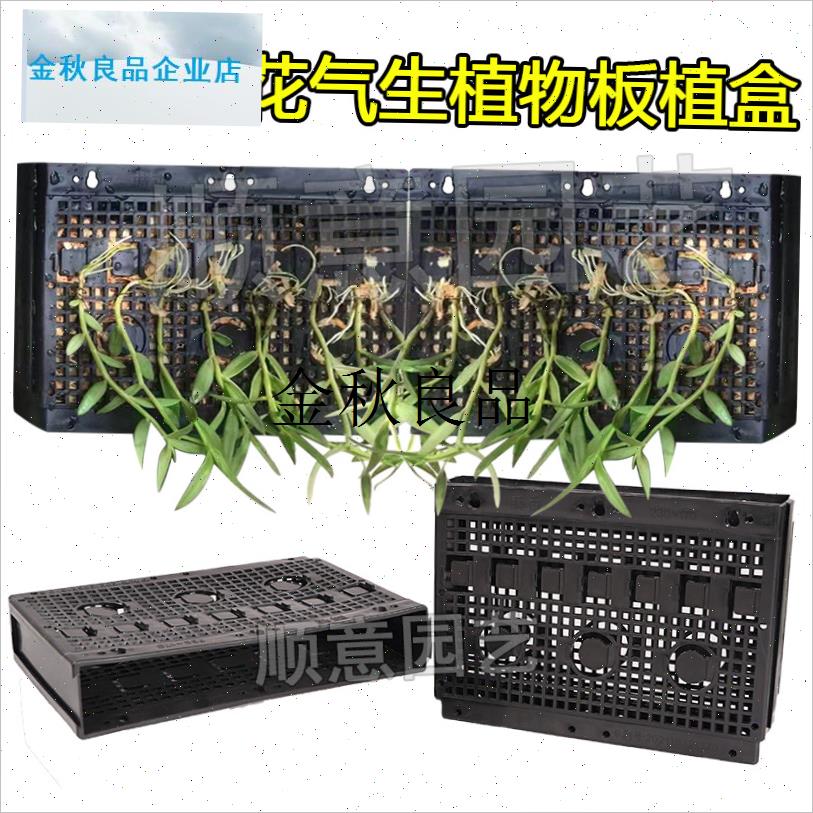 兰花气生植物板植盒p多孔透气园艺墙面种植蝴蝶兰挂篮替代蛇木,