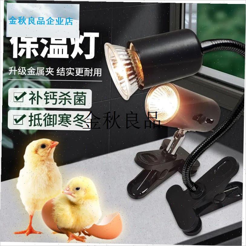 德国进口芦丁鸡爬l宠保温灯鹌鹑保温箱取暖灯育雏小鸡专用取暖加,