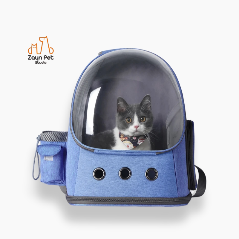 猫背包猫宠物透气透明