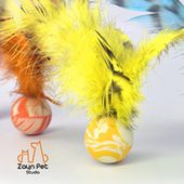 Zayn咱吖 猫咪自嗨玩具好物高能互动玩具橡胶球 彩虹羽毛弹弹球