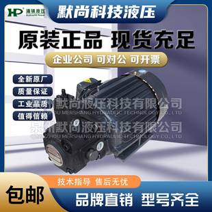 3HP 2HP 涌镇HP油泵电机组SMVP 2台湾北部Northman